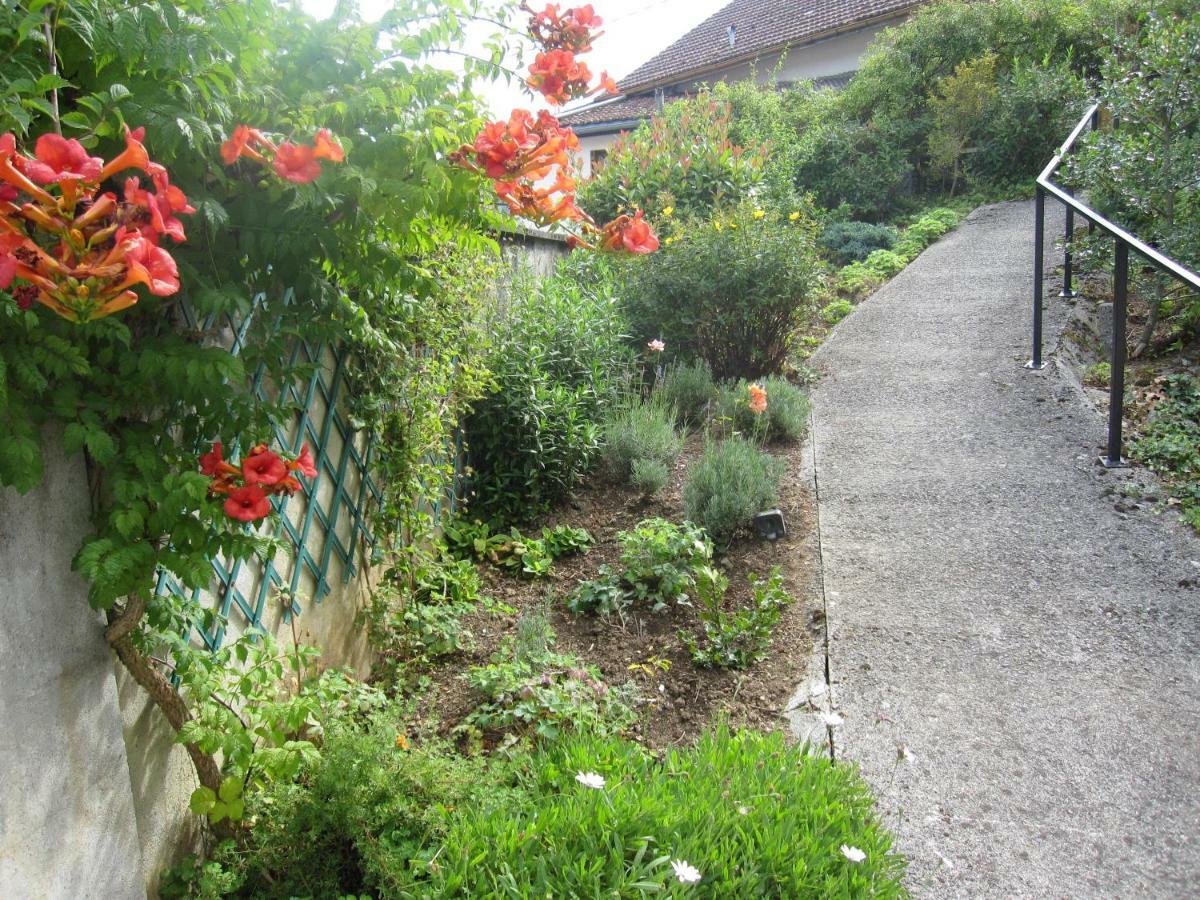 Isatis Apartamento Bagnères-de-Bigorre Exterior foto
